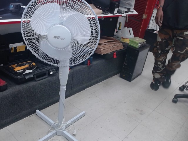 Fan