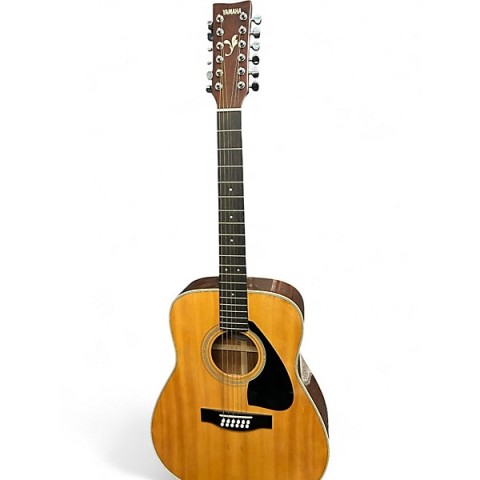 Guitar 12 string with case