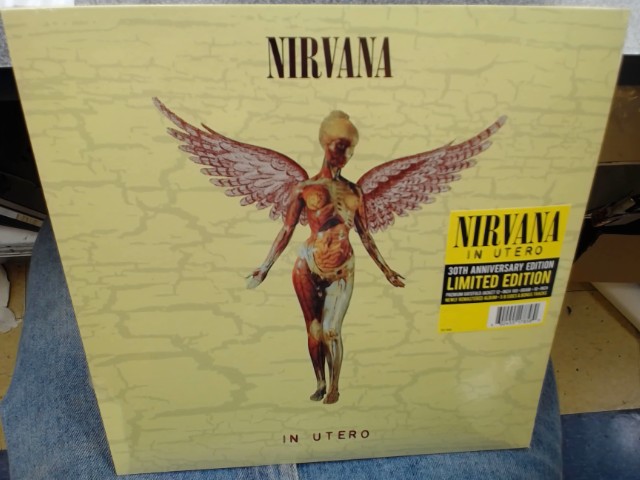 In utero vinyl