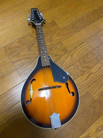 Mandolin aira rogue rm-100a astyle&case