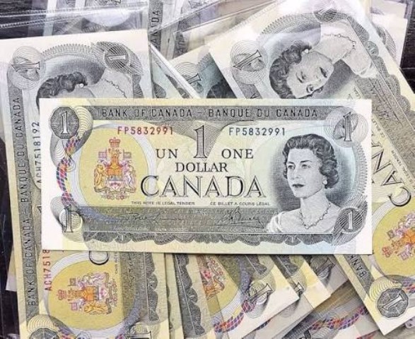 1 dollar canada