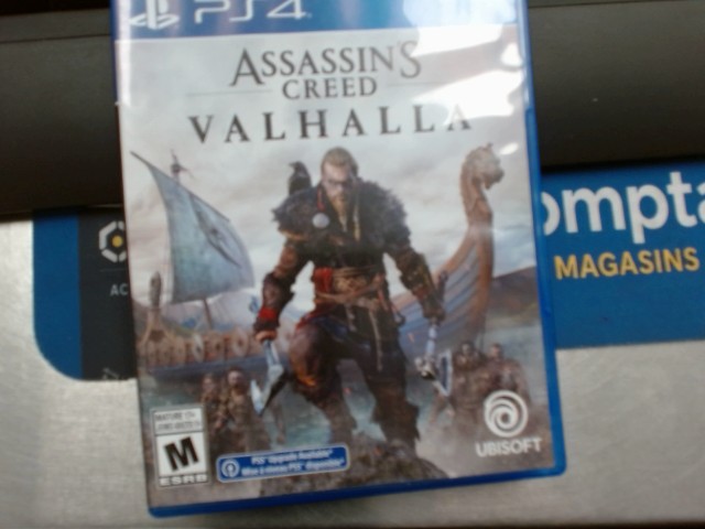 Assasin's creed valhalla