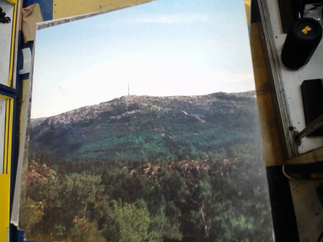 We are the city vinyl