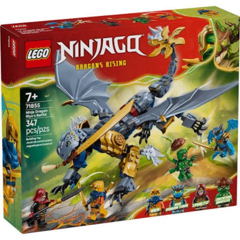 Ninja dragon riyu's battle