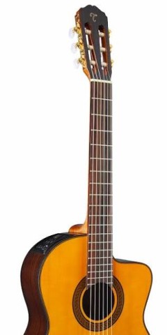 Guitare acoustique classique + soft case