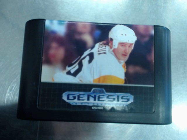 Mario lemieux hockey