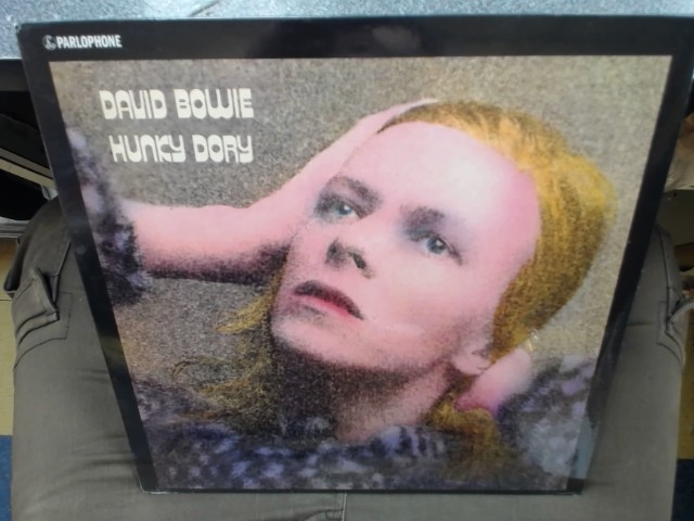 Hunky dory vinyl