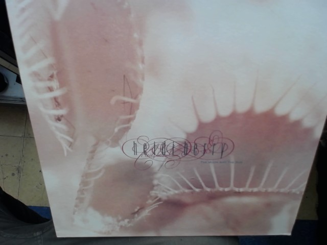 The moon and the sun vinyl