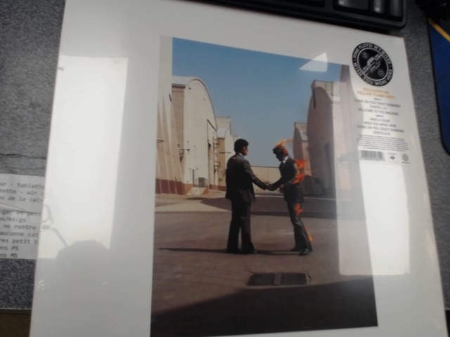 Wish you were her vinyl new