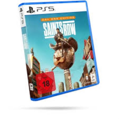 Jeux ps5 saintsrow day one edition