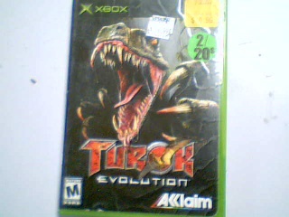 Turok evolution