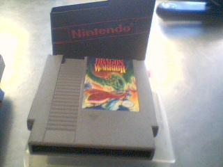 Dragon warrior