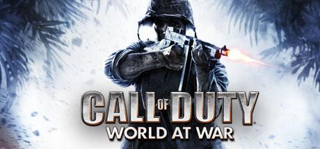 Call of duty world at war