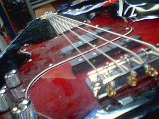 Bass avec case dure noire