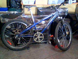 Miele velo online