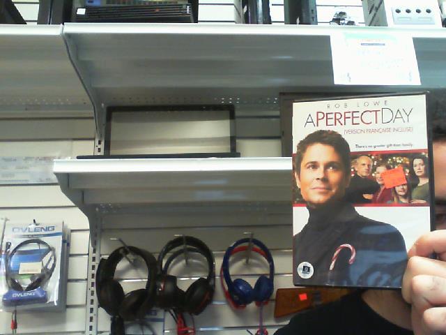 Aperfect day