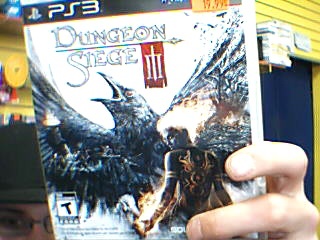 Dungeon siege  3