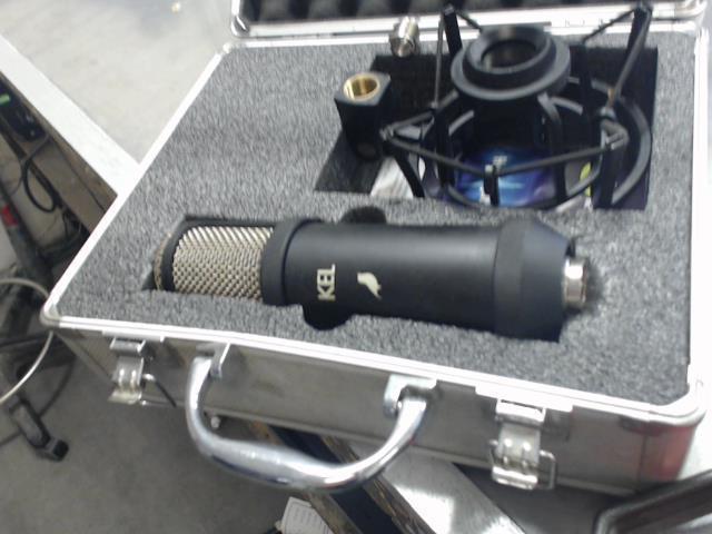 Mic ds case