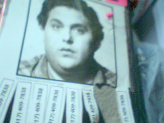The sitter
