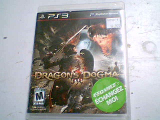 Dragon dogma