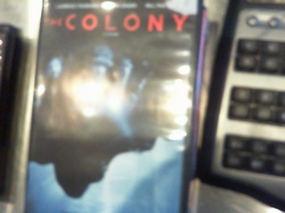 The colony