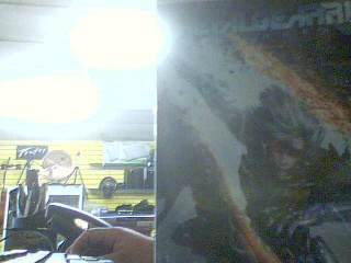 Metal gear rising