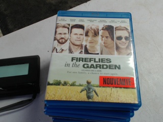 Fireflies in the garden