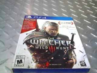The witcher 3 : wild hunt