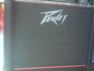 Ampli pavey