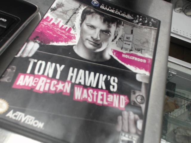 Tony hawk's american wasteland